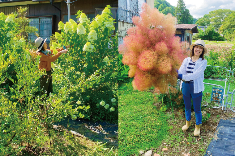 【11月下旬以降発送・数量限定】常緑樹の香りあふれるクリスマスリース（限定品）【インテリア おしゃれ 壁飾り プレゼント お花 ギフト ナチュラル クリスマス リース 水戸市 水戸 茨城県 10000円以内 1万円以内】（KW-3）