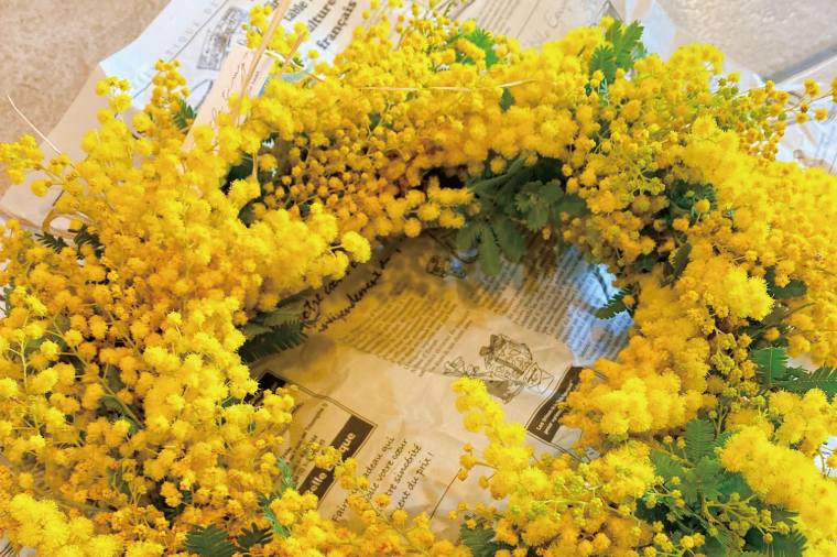 【3月以降発送・数量限定】大きな木から作るミモザのリース（限定品）【インテリア おしゃれ 壁飾り プレゼント お花 ギフト ナチュラル アレンジ フラワーアレンジ 水戸市 水戸 茨城県 10000円以内 1万円以内】（KW-5）