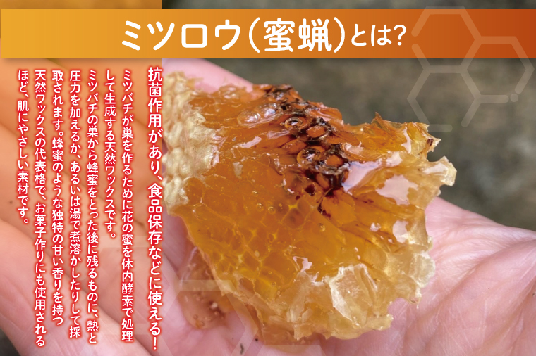 ミツロウECOラップ＆ドライフラワーSET【インテリア おしゃれ プレゼント お花 ギフト ナチュラル アレンジ フラワーアレンジ 水戸市 水戸 茨城県】（KW-6）