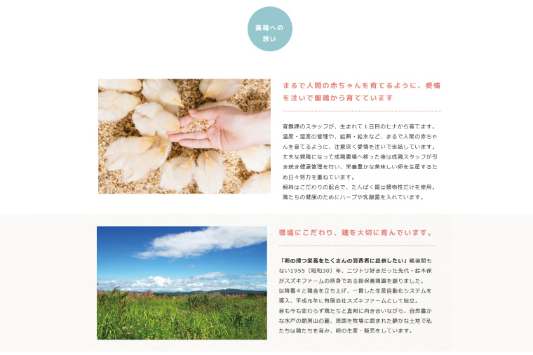 【数量限定】赤玉・黄味自慢 たまご詰め合わせ60個【卵 玉子 タマゴ 新鮮 タンパク質 目玉焼き 茨城県 水戸市】（LB-2）