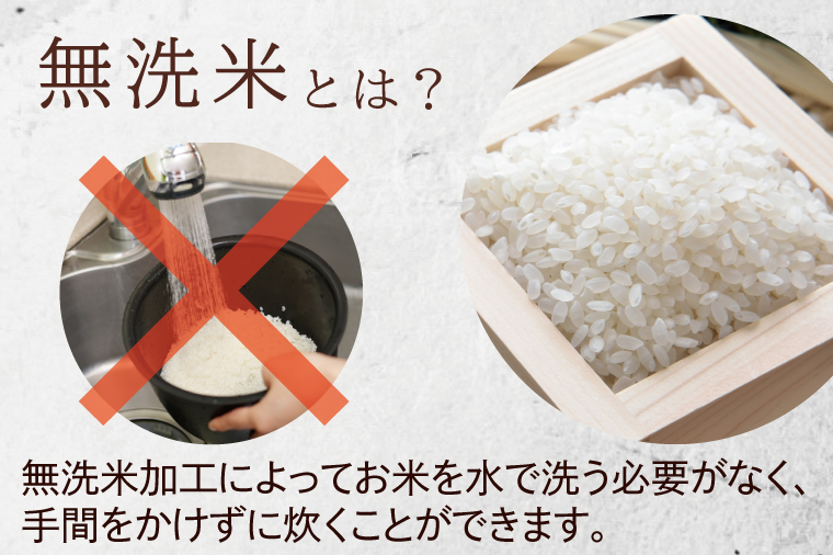 令和7年産無洗米茨城コシヒカリ5㎏×2【新米 無洗米 お米 こめ 米 こしひかり 茨城県 茨城県産 】（LL-6）