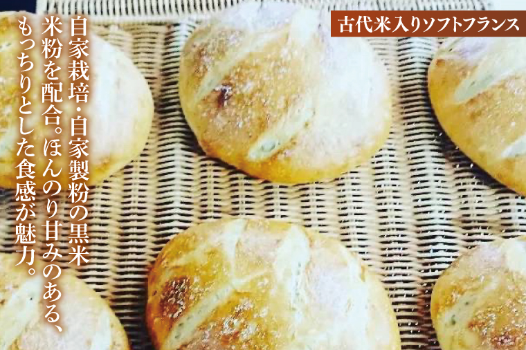 【数量限定】水戸産小麦粉をふんだんに使用した贅沢な大きめのパン５種詰め合わせ【総菜パン 菓子パン 食事パン冷凍 水戸市 茨城県】（ LS-1）