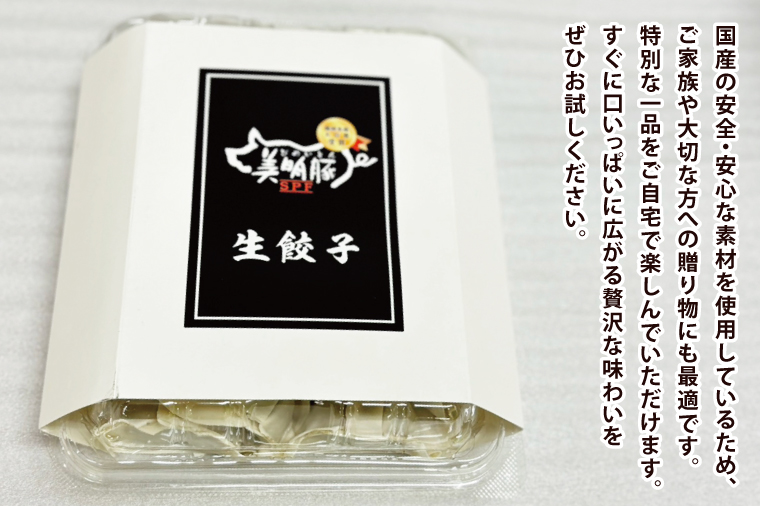 【数量限定】肉屋が作る美明豚生餃子24個入 2パック【ブランド豚 国産 焼き餃子 冷凍 ぎょうざ ギョーザ 冷凍餃子 簡単調理 惣菜 おかず 水戸市 水戸 茨城県】（MJ-5）