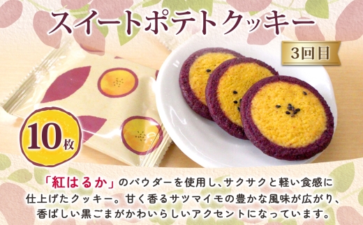 【3ヶ月定期便】亀印製菓 茨城県産栗＆芋満喫定期便B【マロンふわっせ スイートポッテ スイートポテトクッキー 栗 笠間栗 くり 干し芋 さつまいも 紅はるか 和 スイーツ デザート お菓子 おやつ 老舗 お土産 手土産 贈答用 茨城県 水戸市】（MP-36）