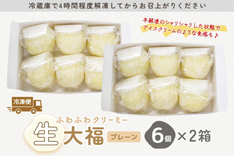ふわふわクリーミー生大福プレーン 6個入り 2箱【大福 和菓子 生大福 スイーツ クリーム アイス おやつ 手土産 お取り寄せ ギフト グルメ 贈答 冷凍 亀印製菓 茨城県 水戸市】（MP-6)