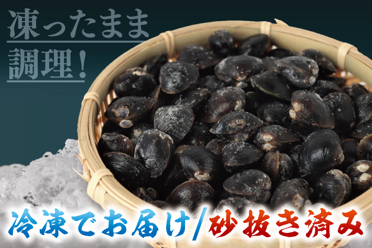 【全３回隔月定期便】茨城県涸沼川産 だしの濃さに違いが出る！手掘しじみ（砂抜き）500g×４個（２kg）【涸沼川 シジミ オルニチン 味噌汁 スープ 茨城県 水戸市】（MS-10）