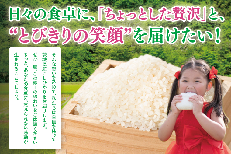 【数量限定】【令和7年産】【３ヵ月定期便】美味追求 茨城県産こしひかり 5kg×3 【定期便 お米 ごはん こしひかり 精米 おにぎり ごはん 茨城県 水戸市 15キロ】(NA-2)
