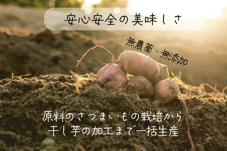 茨城県産 紅はるか 天日干しほしいも訳ありシロタ２kg【大容量 国産 干し芋 おやつ 和スイーツ さつまいも 自然食品 人気 サツマイモ 和菓子 ヘルシー 水戸市】（NM-3）