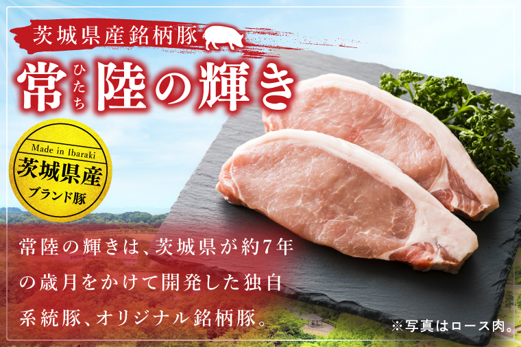 常陸の輝き　ヒレ肉　(1kg)【豚肉 ブランド豚 薄切り 銘柄豚  茨城県 水戸市】（NW-17）