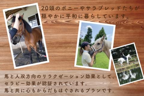 ホースセラピー・癒しコース（120分）【乗馬 馬 ポニー サラブレッド ブラッシング リラクゼーション 水戸市 茨城県】（EY-1）