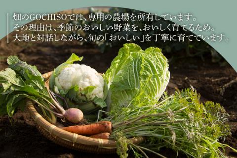 『畑のGOCHISO』ランチペアチケット【レストラン ランチチケット ペアチケット ペアお食事券 ランチ コース】（GU-1）