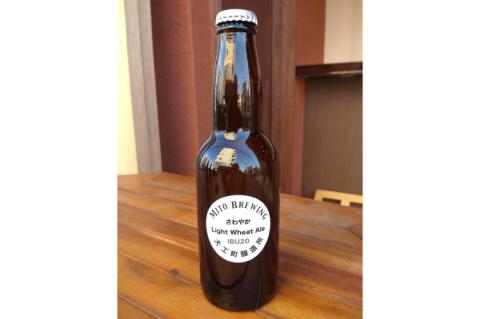 第１回水戸さきがけビジネス大賞 優秀賞受賞！【ぬりや】クラフトビール12本詰め合わせ【お酒 クラフトビール ビール ふるさと納税 水戸市 茨城県】（GW-2）