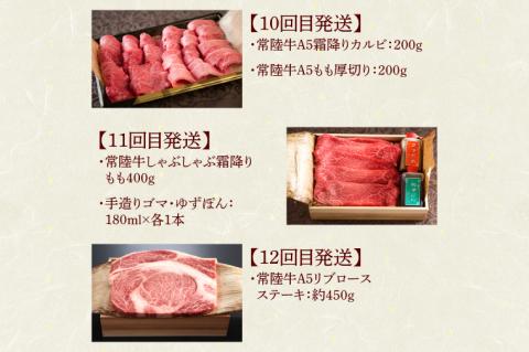 【定期便 全12回】 常陸牛 12ヶ月 定期便 Bコース 食べ物 肉 ハンバーグ 焼肉 すき焼き しゃぶしゃぶ リブロース ステーキ レトルトカレー ふるさと納税 定期便 ギフト対応（DU-112）
