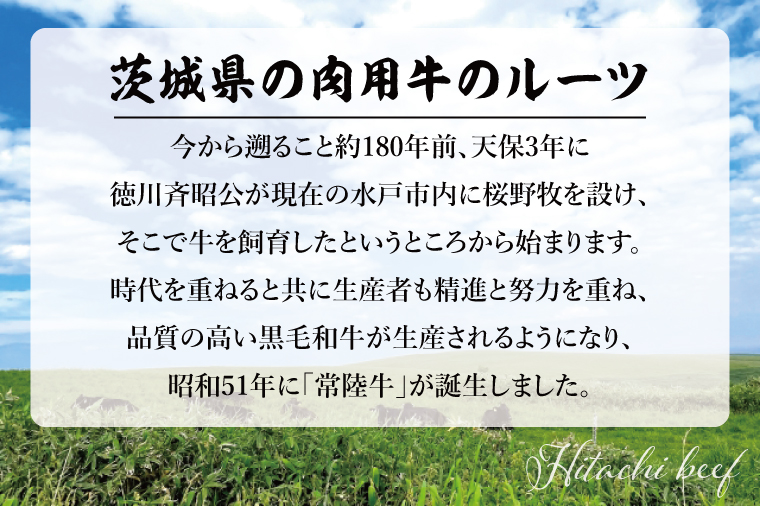 常陸牛レトルトカレー5食入り【常陸牛 黒毛和牛 国産和牛 和牛 カレー レトルト 保存食 非常食 茨城県 水戸市 水戸】（BG-129）