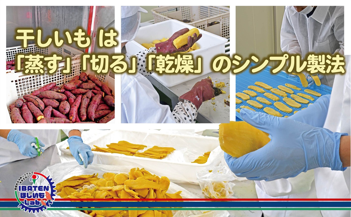 【バラ詰め】ほしいもホワイト（スペシャル）900g 化粧箱入 ギフト 贈答 茨城県産【ほしいも 干し芋 干しいも ほし芋 平干し 芋 バラ詰め  化粧箱 ギフト さつまいも さつま芋 紅はるか 茨城県 水戸市】（BH-10）