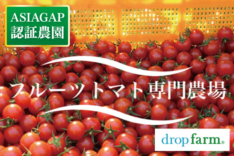 【4ヶ月定期便】【11月より順次発送】ドロップファームの美容トマトおまかせ3kg箱(４種ミックス)【とまと フルーツトマト 野菜ソムリエ 栄養士 アイコ イエローアイコ 小鈴 フルティカ 野菜 フレッシュ 水戸市 茨城県】（CK-23）