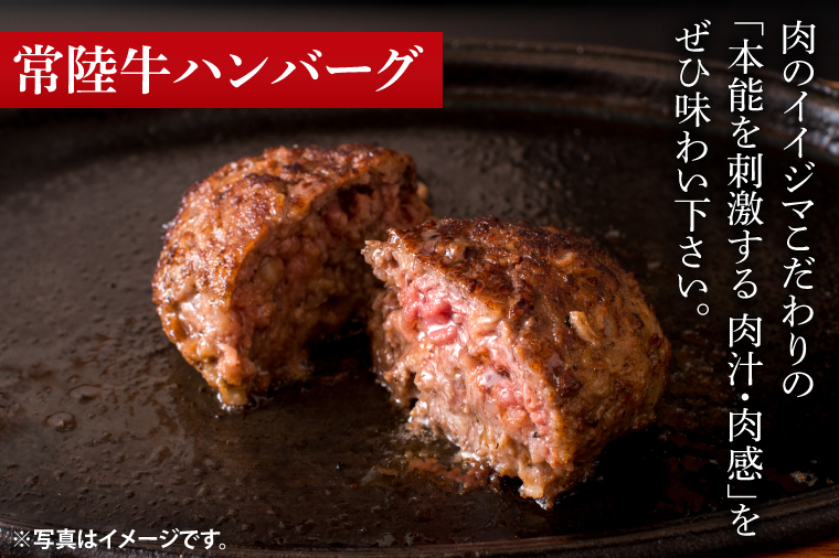 常陸牛ハートハンバーグ100g×2個 常陸牛カレー2個 詰め合わせセット レトルトカレー 化粧箱 12000円 敬老の日 【肉のイイジマ】茨城県 水戸市（DU-130）