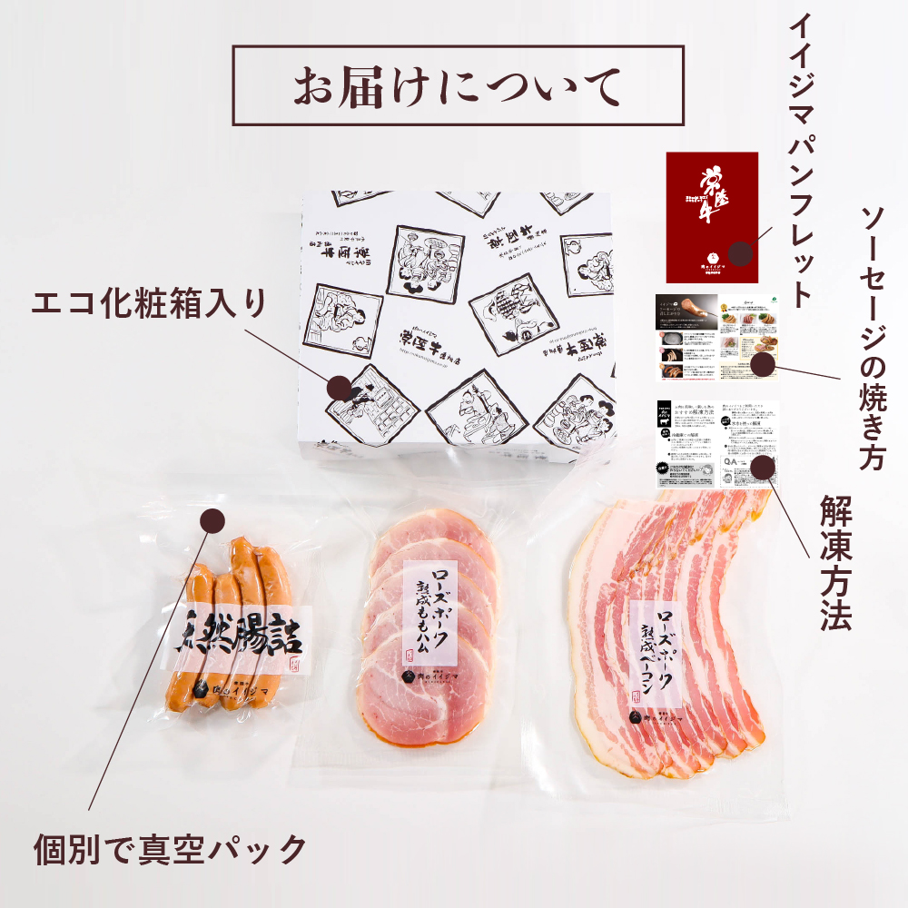 ハム ソーセージ 詰め合わせ IFFA金賞イイジマ工房お試しBセット 9000円 ウインナー ベーコン ローズポーク シャルキュトリー お歳暮 ギフト対応【肉のイイジマ】 茨城県 水戸市（DU-93）