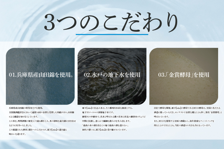 【数量限定】雨下-uka- 雫落とし製法 100％Drop Made 600ml【日本酒 お酒 酒 水戸市 茨城県】（DW-140）