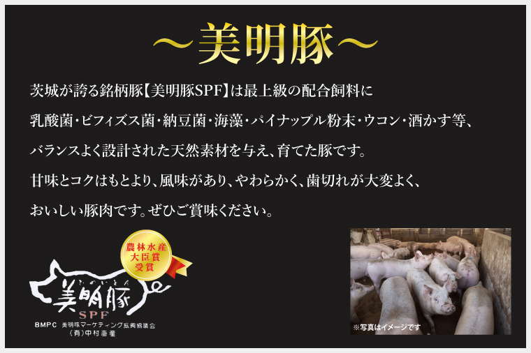 【6ヶ月定期便】【常陸牛 A5ランク・美明豚すきしゃぶセット】常陸牛肩ロースすき焼き用780ｇ＋美明豚しゃぶしゃぶ用600ｇ（ロース300ｇ・ばら300ｇ） 【冷凍 国産牛 和牛 牛肉 豚肉 ブランド豚 茨城県 水戸市 食べ比べ セット商品 国産】（EK-33_2）