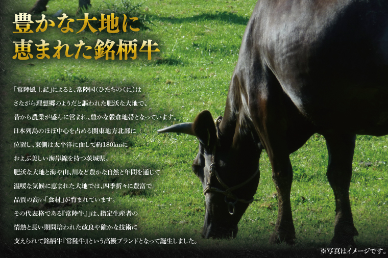 【4か月定期便】A5ランク常陸牛　食べ比べ　定期便コースB｜すき焼き しゃぶしゃぶ 焼肉 BBQ ステーキ 国産牛 和牛 牛肉 茨城県 水戸市  国産 老舗精肉店（EK-79）