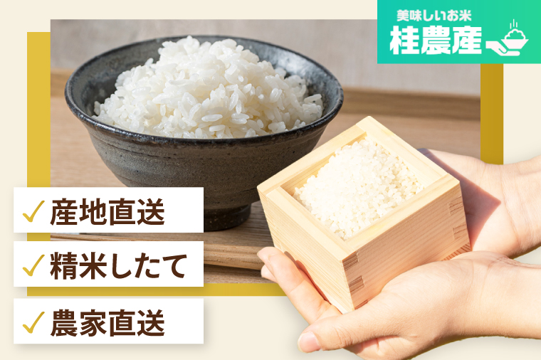 【数量限定】【令和7年産】茨城県産つきあかり（茨城県共通返礼品/城里町）10kg【お米 米 おにぎり 粒が大きい 茨城県】（IH-1165）