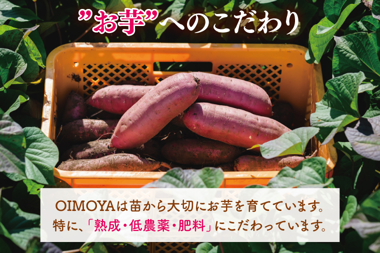 【12月より順次発送】冷凍 壺焼き芋 紅はるか2kg（500g×4）【さつまいも 芋 いも  焼き芋 焼芋 やきいも 茨城県 水戸市 水戸 10000円以内 1万円以内】（IN-12)