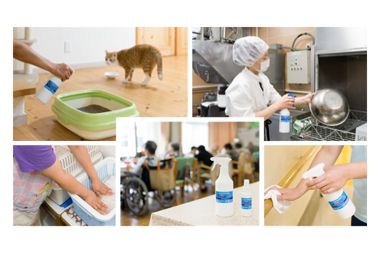 ハセップワン200ppm　500ccスプレー×6本セット【除菌 次亜塩素酸 安心 安全 ペット ウイルス除去 消臭 水戸市 茨城県】（JD-9）