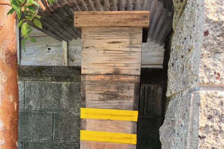 【先行予約】百花蜜 国産天然はちみつ 900g（450g×2本）【数量限定 期間限定 ハチミツ 蜂蜜 国産ハチミツ 西洋ミツバチ 非加熱 天然 水戸市 茨城県】(KH-1)