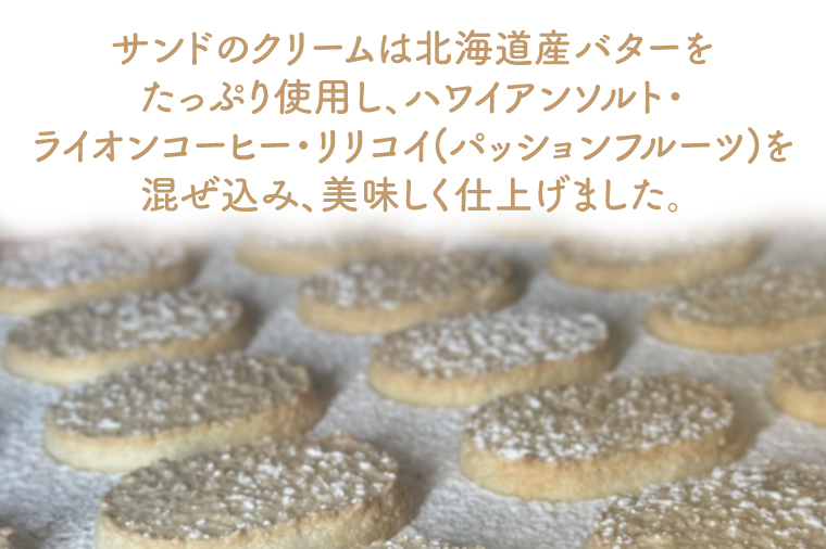 【数量限定】ハワイアンダックワーズ12個【ダックワーズ ハワイ ハワイアンソルト ライオンコーヒー リリコイ パッションフルーツ スイーツ 水戸市 茨城県 10000円以内 1万円以内】（KT-2）