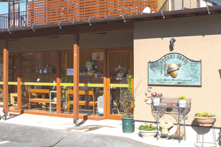 【数量限定】赤玉・黄味自慢 たまご詰め合わせ60個【卵 玉子 タマゴ 新鮮 タンパク質 目玉焼き 茨城県 水戸市】（LB-2）