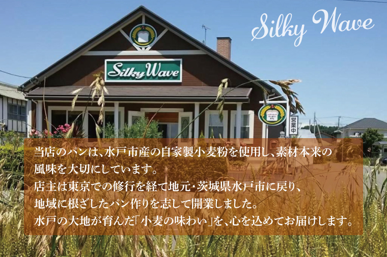 【数量限定】水戸産小麦粉をふんだんに使用した贅沢な大きめのパン５種詰め合わせ【総菜パン 菓子パン 食事パン冷凍 水戸市 茨城県】（ LS-1）