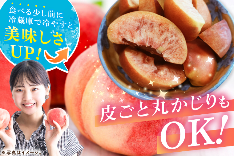 【2026年8月上旬より順次発送】【数量限定】希少品種！ワッサー 約２キロ（8-10個）【フルーツ 果物 桃 ネクタリン くだもの デザート おやつ 水戸市 茨城県】（MA-3）
