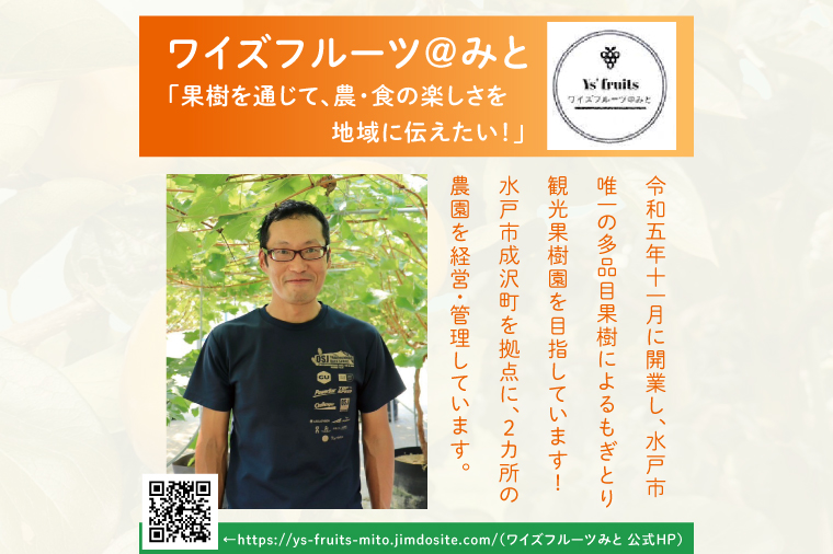 【2026年10月上旬より順次発送】【数量限定】太秋柿 約2kg（6-8玉）【フルーツ 果物 柿 甘柿 完熟 くだもの デザート おやつ 水戸市 茨城県】（MA-4）