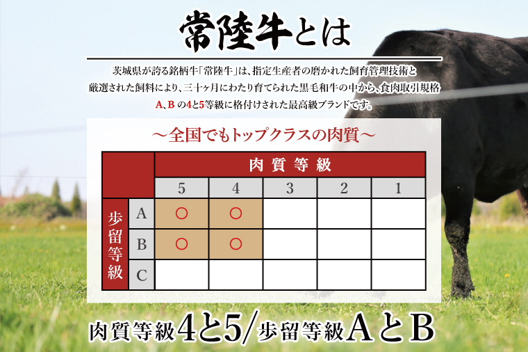 【数量限定】常陸牛ふわっトロハンバーグ（デミグラスソース付）150g×6枚入【牛肉 和牛 ブランド牛 常陸牛 パーティ 簡単 水戸市 茨城県】（MJ-4）