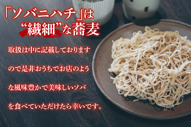 酒趣 ソバニハチ 120g×4玉（茨城県産 常陸秋そば）【蕎麦 そば ソバ 麺 麺類 二八蕎麦 水戸市 茨城県】（NK-1）