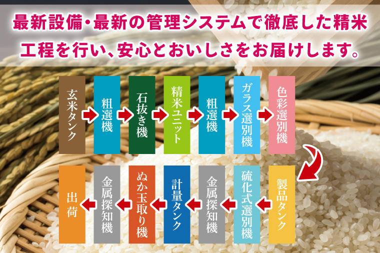 【数量限定】【令和7年産】茨城県産コシヒカリ 5kg 【お米 ごはん こしひかり おにぎり ごはん 茨城県 水戸市】(NQ-1)