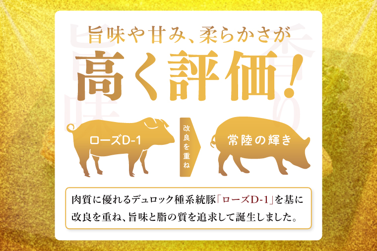 常陸の輝き　ヒレ肉　(1kg)【豚肉 ブランド豚 薄切り 銘柄豚  茨城県 水戸市】（NW-17）