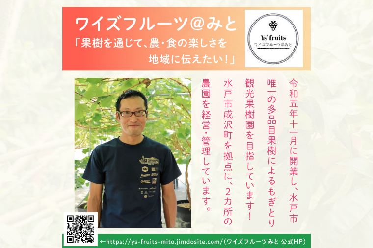 【2026年8月上旬より順次発送】【数量限定】希少品種！ワッサー 約２キロ（8-10個）【フルーツ 果物 桃 ネクタリン くだもの デザート おやつ 水戸市 茨城県】（MA-3）