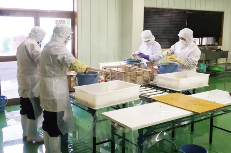 【2月中旬より順次発送】訳あり 干し芋 茨城県産紅はるか 段ボール詰め 3kg【干し芋 ほしいも さつまいも 紅はるか 和菓子 スイーツ 茨城県 水戸市 水戸 しっとり おやつ 間食 本場 おいしい】（BP-5）