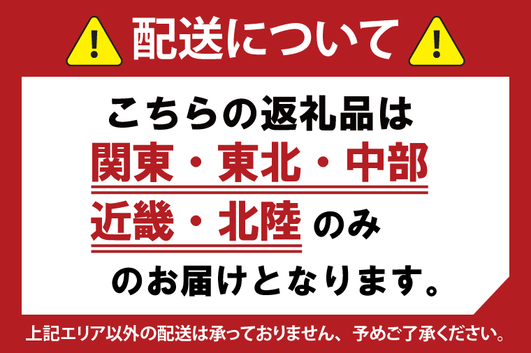 【6ヶ月定期便】旬の水戸市常澄のガーベラ カラフルミックス20本【ガーベラ 産直 サプライズ フラワーアレンジ 花 お花 贈り物 誕生日 母の日 彼女にプレゼント 水戸市 茨城県】（DR-132）