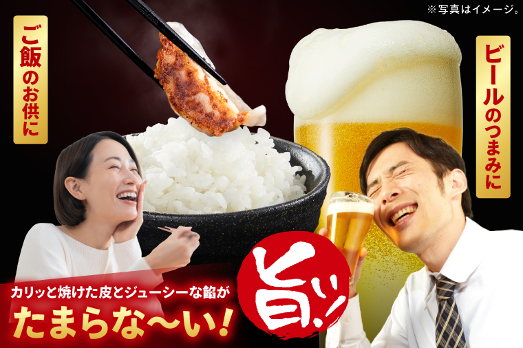 満腹餃子 リピーター続出！ボリューム満点！120個（３kg ）【モトヤ 老舗 大容量 国産 焼き餃子 冷凍 ぎょうざ ギョーザ 冷凍餃子 簡単調理 惣菜 おかず 水戸市 水戸 茨城県】（EJ-13）