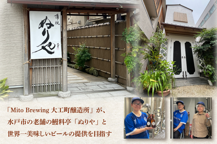 第１回水戸さきがけビジネス大賞 優秀賞受賞！【ぬりや】クラフトビール12本詰め合わせ【お酒 クラフトビール ビール ふるさと納税 水戸市 茨城県】（GW-2）