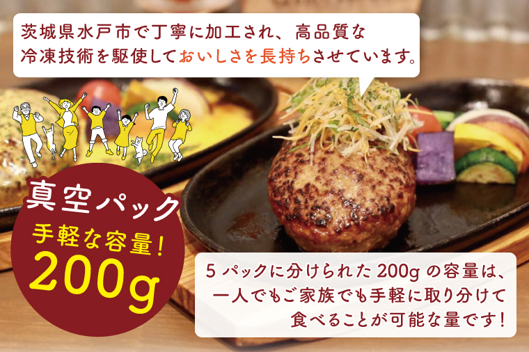 リトルリンダの冷凍ハンバーグ5種類入り(200g×5)ギフトボックス【常陸牛 国産牛 味わいポーク 時短 簡単料理 水戸市 茨城県】(NC-1)