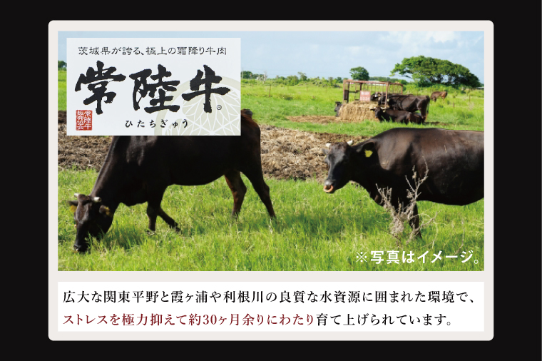 常陸牛切り落とし 1kg【常陸牛 国産牛 和牛 牛肉 切り落とし ジューシー 茨城県 水戸市】（NW-6）