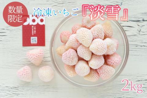 【数量限定】冷凍いちご 希少なプレミアム白イチゴ『淡雪』1kg入×2袋 合計2kg オリジナルレシピ有り【苺 いちご フルーツ 果物 冷凍 水戸市 茨城県】（DO-1）
