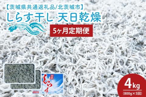 【5ヶ月定期便】しらす干し 天日乾燥800g（400g×2）【茨城県共通返礼品/北茨城市】(HY-15)