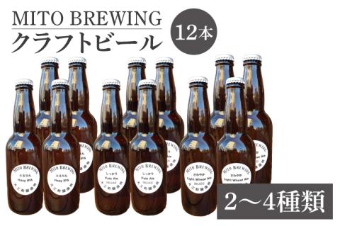 第１回水戸さきがけビジネス大賞 優秀賞受賞！【ぬりや】クラフトビール12本詰め合わせ【お酒 クラフトビール ビール ふるさと納税 水戸市 茨城県】（GW-2）