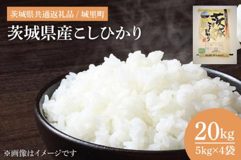 【数量限定】【令和7年度産 新米】茨城県産こしひかり 20kg（5kg×4）（茨城県共通返礼品/城里町）【お米 ごはん コシヒカリ おにぎり ごはん 桂農産 茨城県 水戸市】（IH-2051）