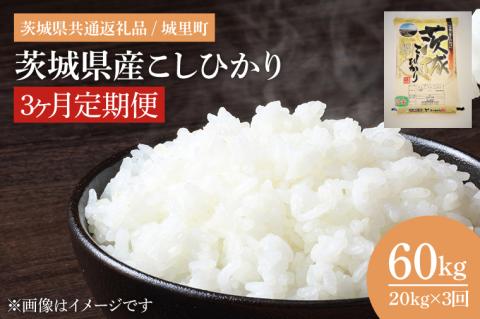 【3ヶ月定期便】茨城県産こしひかり　計60kg（20kg×3回）（茨城県共通返礼品/城里町）（IH-2060）